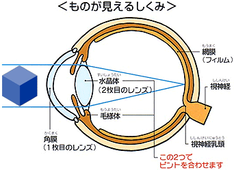 ̂邵݁